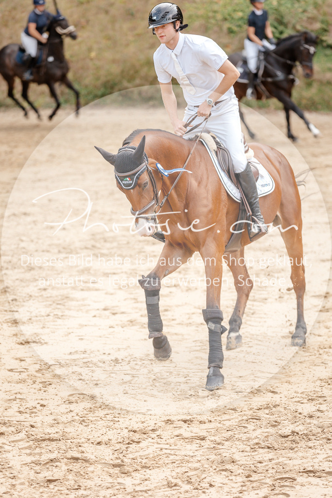 3I6A5374 | Stimmungsvolle Portraits und Reitsportfotografie im Ruhrgebiet und im Münsterland.

Pferdefotografie, Hundefotografie, Tierfotografie, Reportagen, Portraits von Tier und Mensch, Turnierfotografie in Bochum, Recklinghausen, Marl, Haltern am See, Dülmen.. - Realisiert mit Pictrs.com