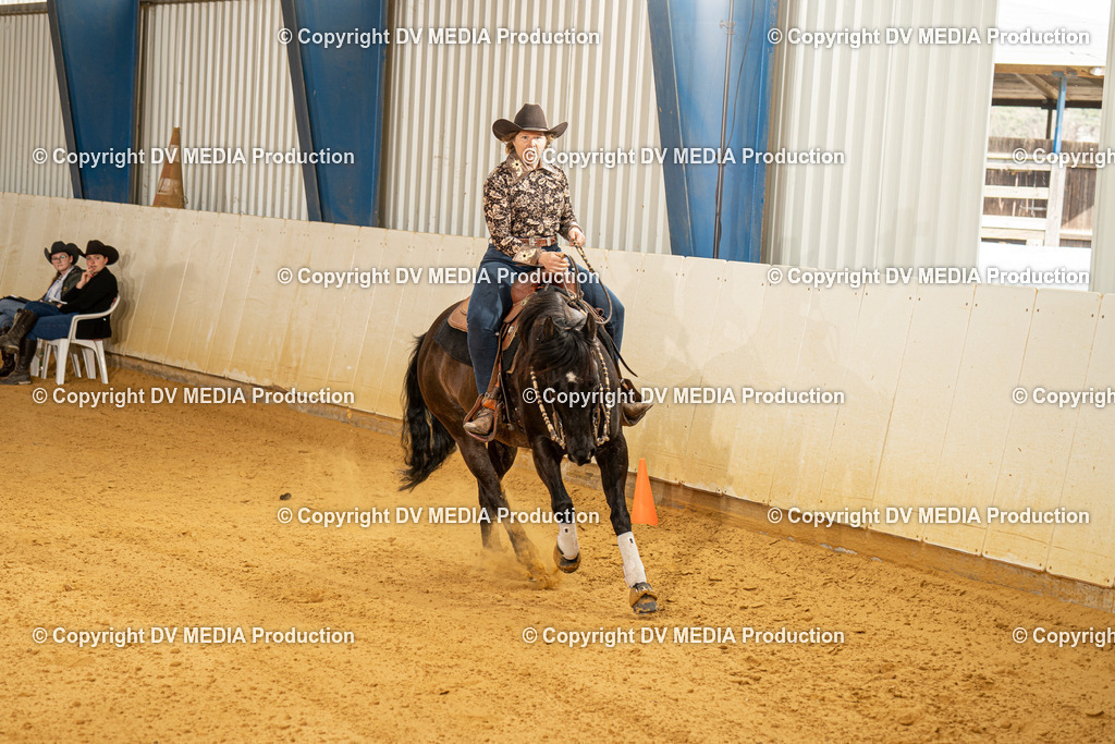 MIT00175 | dv-media-shop - Realisiert mit Pictrs.com