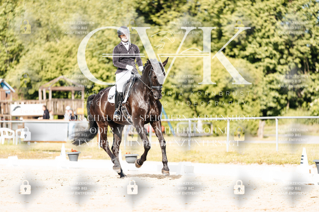CK900200 | Turnierfotografie Pferdefotografie Trier Rheinland-Pfalz Pferdesport Reitsport Tierfotografie Sportfotografie Pferdevideo Pferdevideografie Equestrianvideography equestrianphotography  - Realisiert mit Pictrs.com