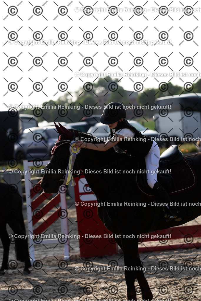 CL5A1514 | Emilia Reinking Fotografie - Realisiert mit Pictrs.com