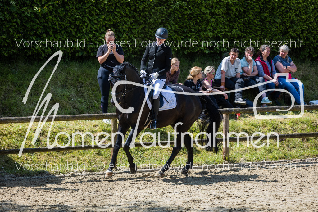 Donop24-L-Dre-087 | MomenTaufnahmen Pferdesportfotos