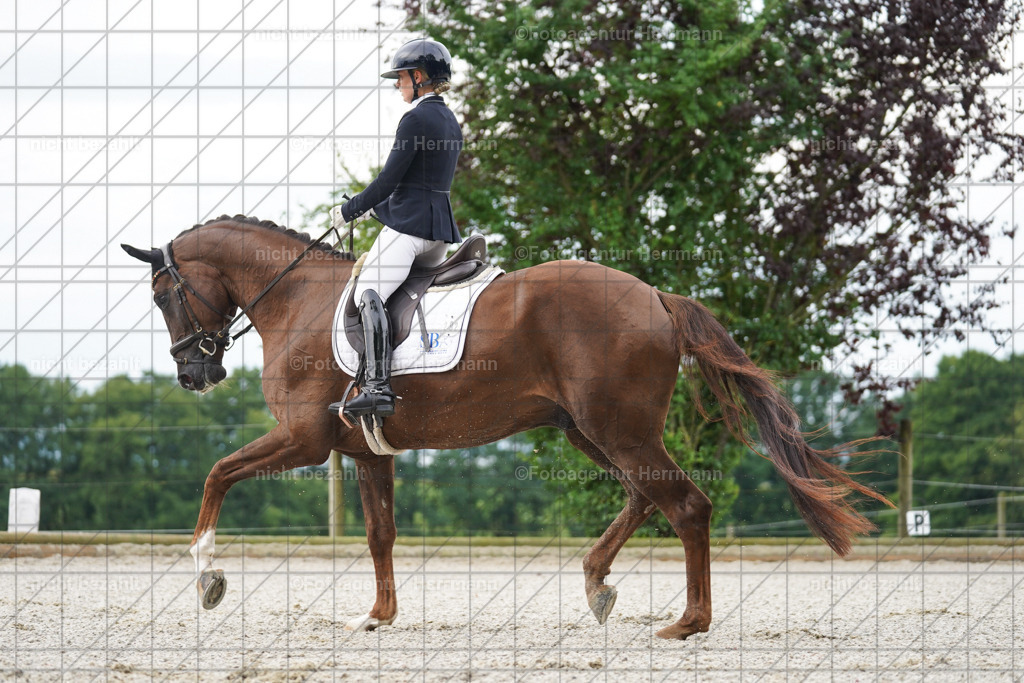 20230826-FAH04337 | Forstinning, 2023, Dressurturnier, Turniersportbilder, Turnierfotografen Bayern, Fotoagentur Herrmann, Reitsportfotografie, Turnierbilder