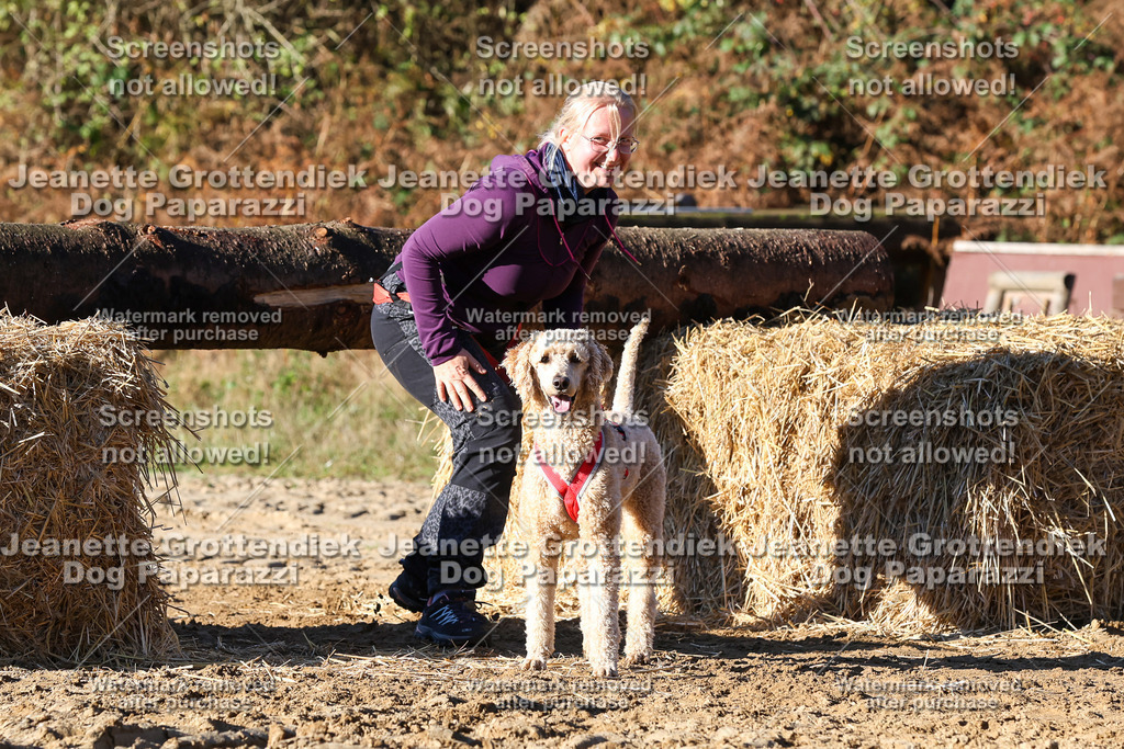 Dog Paparazzi - Strongdog 10-25-1706 | Dog Paparazzi Jeanette Grottendiek Fotografie & Videografie - Realisiert mit Pictrs.com