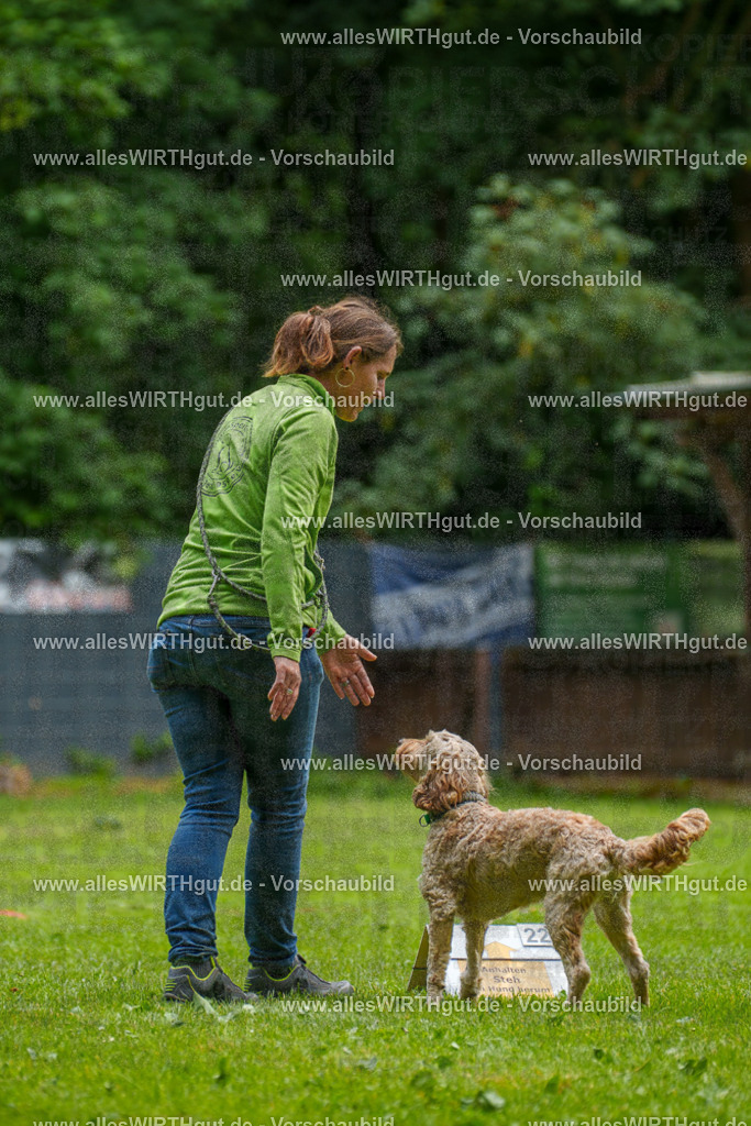 @allesWIRTHgut_Tierfotografie - www.allesWIRTHgut.de - 092427-7R507066 | Professionelle Tierfotografie in Mönchengladbach von Daniel Wirth (allesWIRTHgut). Liebevolle & natürliche Bilder von Hunden & Katzen für unvergessliche Erinnerungen.