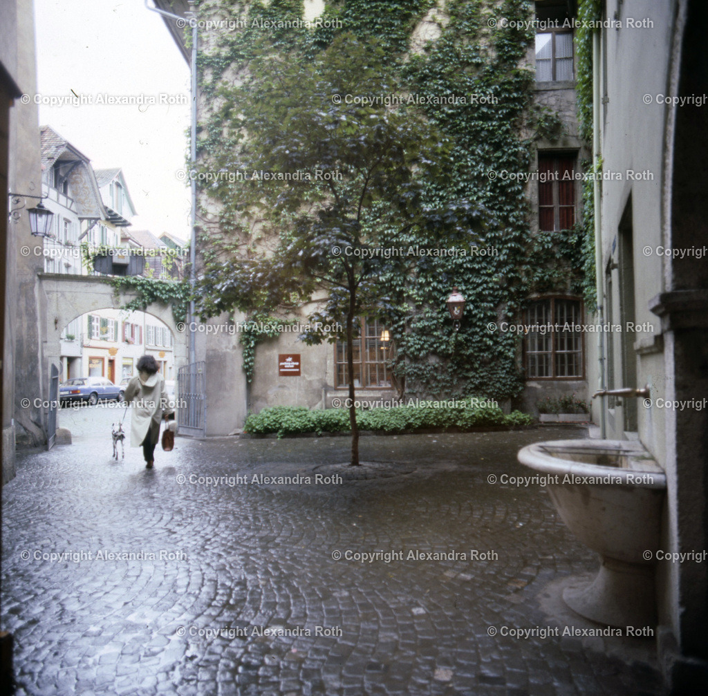 Aarau_792 | onlineshop - Realisiert mit Pictrs.com