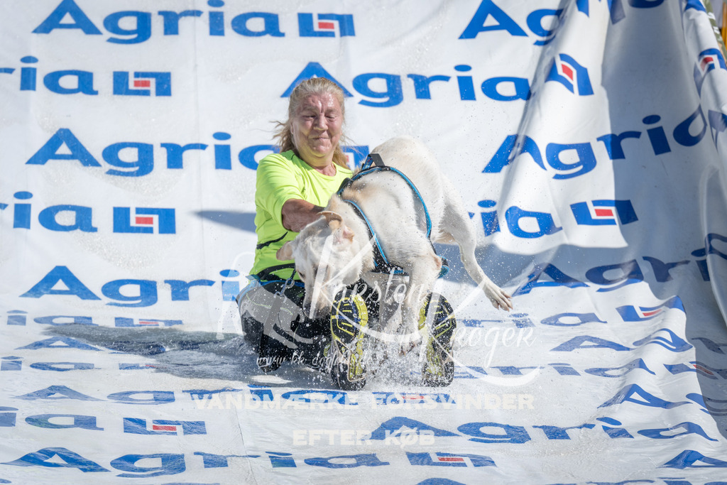 1135_ZZ92706 | kk-dogfotos