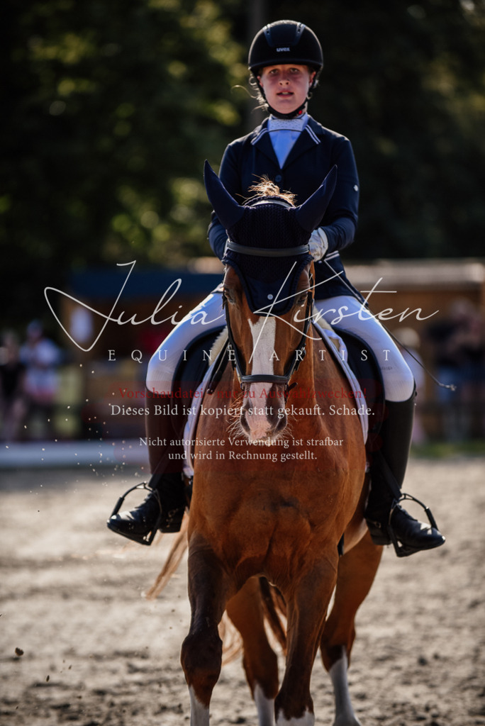 DSC_0537 | Pferde- und Turnierfotografie in Westsachsen. Pferdeportraits, Auftragszeichnungen und intuitive Kunst.