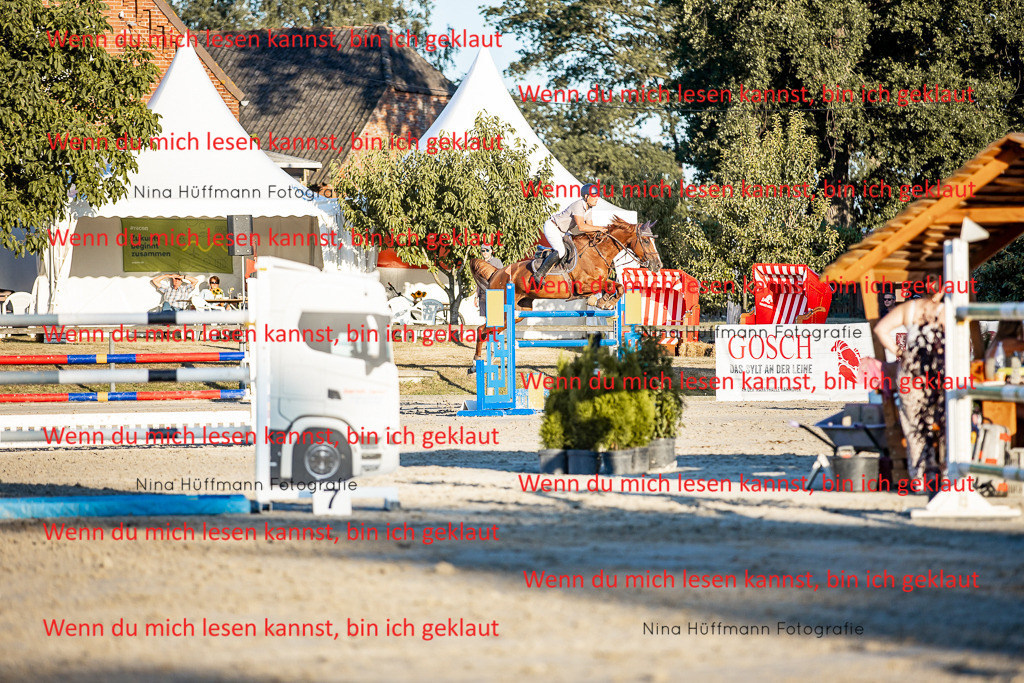 BK1A8563 | Turnierbilder Turnierfotos Nina Hüffmann Turnierfotografie Pferdefotografie Tierzeichnung Haustierzeichnung Pferdezeichnung Hundezeichnung Videograf  - Realisiert mit Pictrs.com