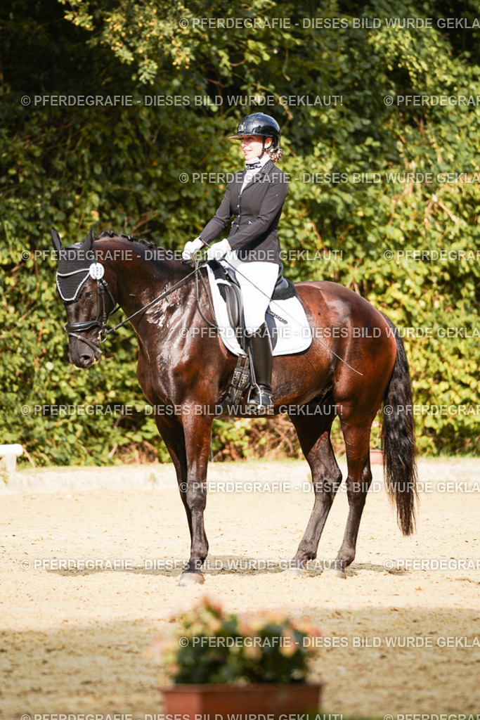 DSC03298 | Pferdegrafie