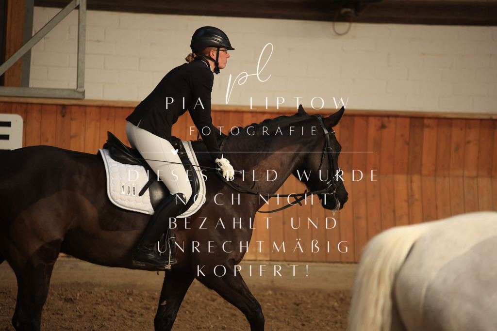 IMGT4605 | pl-fotografie