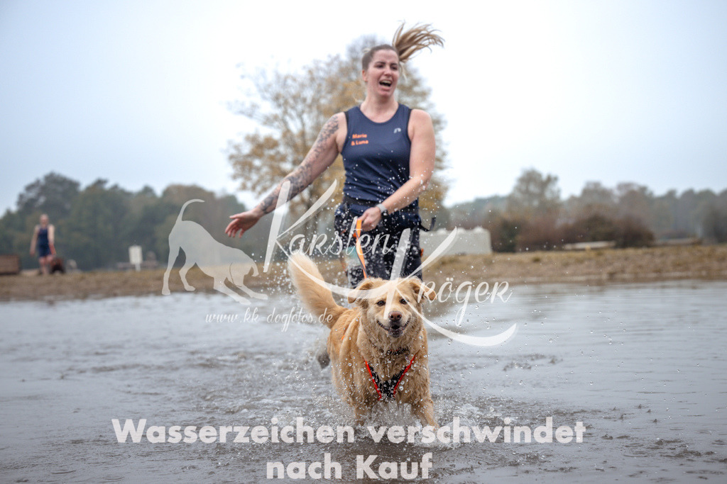 1027_ZZ99717 | kk-dogfotos