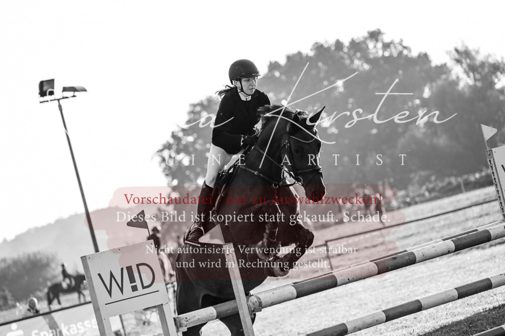 DSC_3793 | Pferde- und Turnierfotografie in Westsachsen. Pferdeportraits, Auftragszeichnungen und intuitive Kunst.