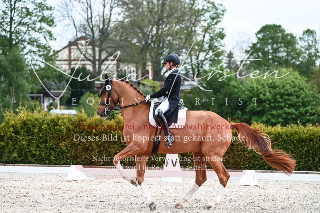 20230514_JK-Röhrsdorf-20-112 | Pferde- und Turnierfotografie in Westsachsen. Pferdeportraits, Auftragszeichnungen und intuitive Kunst.
