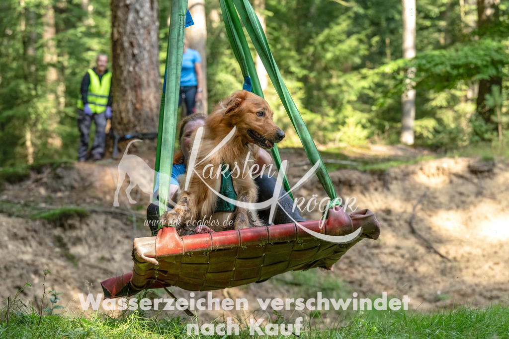 1117_ZZ94597-Bearbeitet | kk-dogfotos