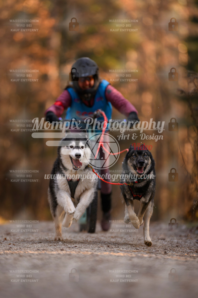 MompixPhotography_DM_AKDM_SO_2025_Scooter-56 | PayLife
