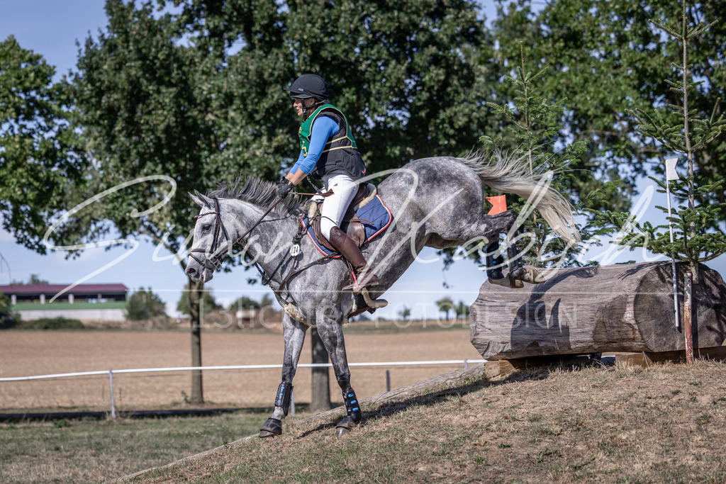 20260906-_3LI5385 | Tierfotografie Pferde, Hunde, Katzen, Haustiere.
Turnierfotografie Reitturniere, Reiten, Springreiten, Dressur in Hanau, dem Main-Kinzig-Kreis und dem Rhein-Main- Gebiet um Frankfurt