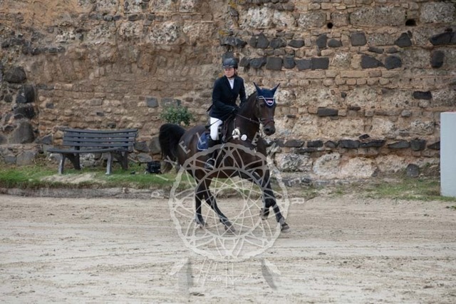 2B4A2280 | pixelfaenger - Realisiert mit Pictrs.com