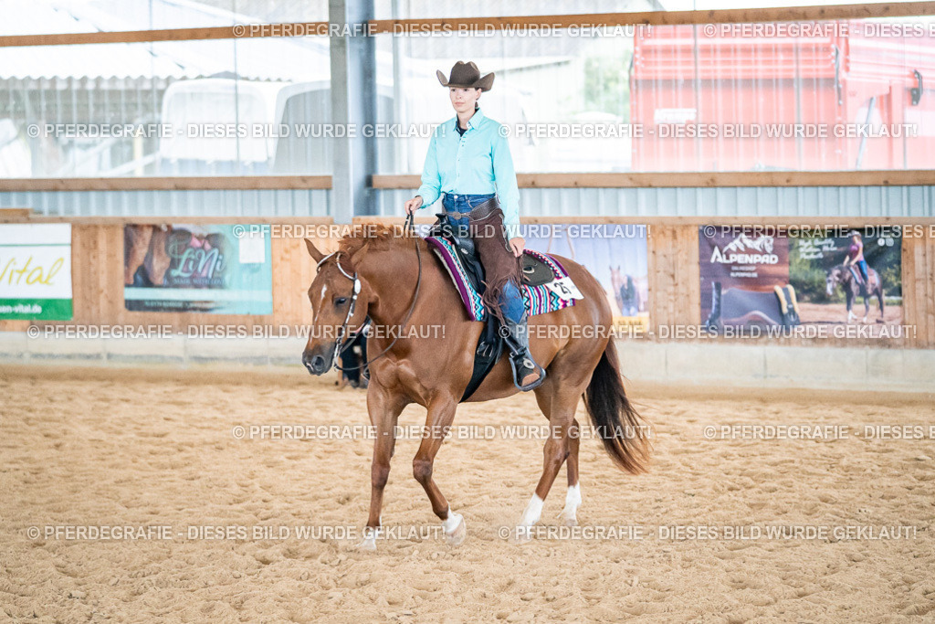 DSC03239 | Pferdegrafie