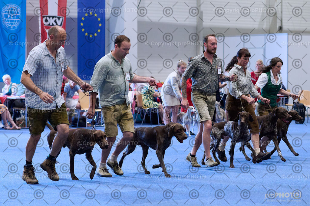 202406_ÖKV-IHA-Tulln24_DSC_3760 | proPHOTO - Realisiert mit Pictrs.com