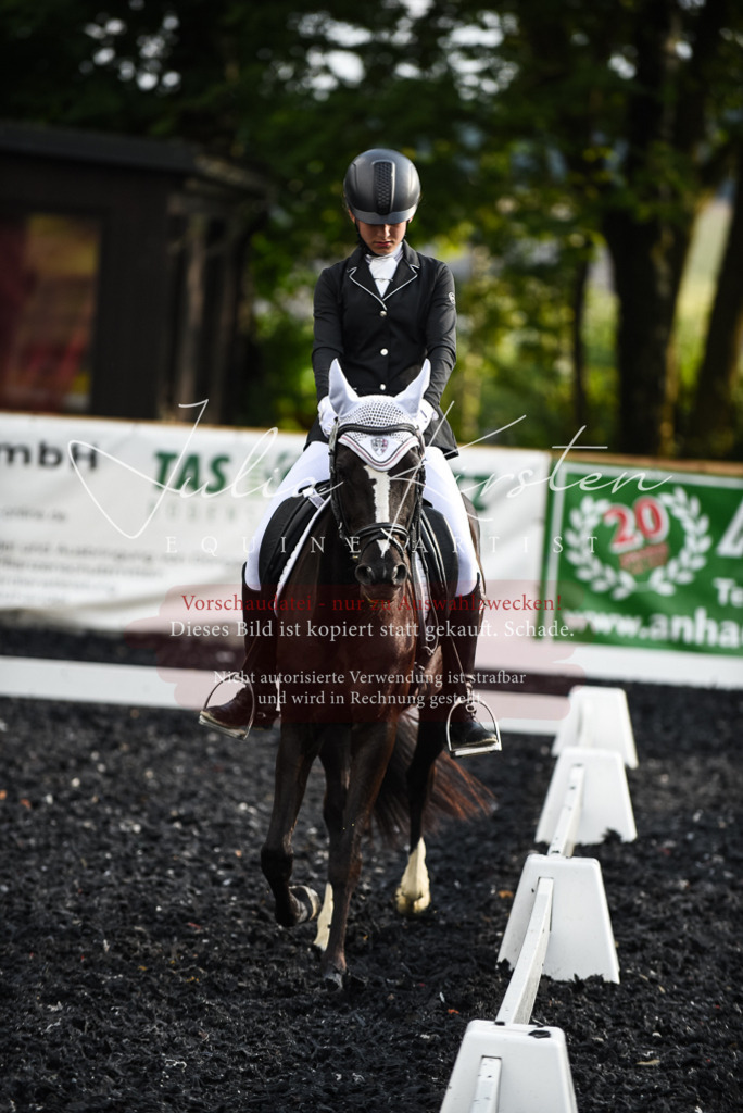 DSC_3396 | Pferde- und Turnierfotografie in Westsachsen. Pferdeportraits, Auftragszeichnungen und intuitive Kunst.