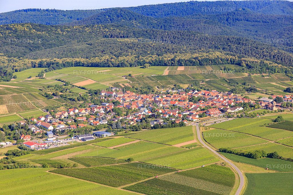 Luftbild: Ortsansicht von Südosten im Ortsteil Schweigen in Schweigen-Rechtenbach im Bundesland Rheinland-Pfalz in Deutschland. Foto: IMG_083054.jpg vom 26.06.2015 durch Werner Riehm/FLY-FOTO.de