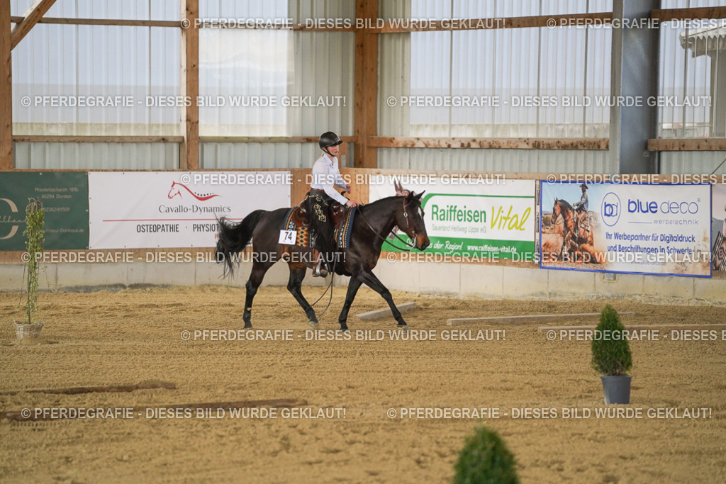 DSC06241 | Pferdegrafie