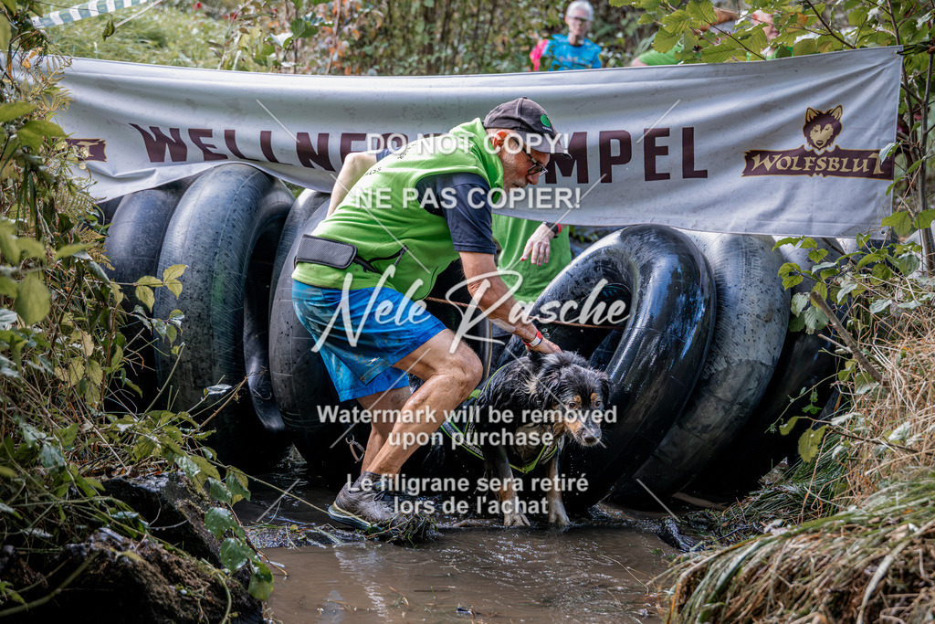 nelerasche_Hunsrück2026_Sa1400-1500_78 | nelerasche