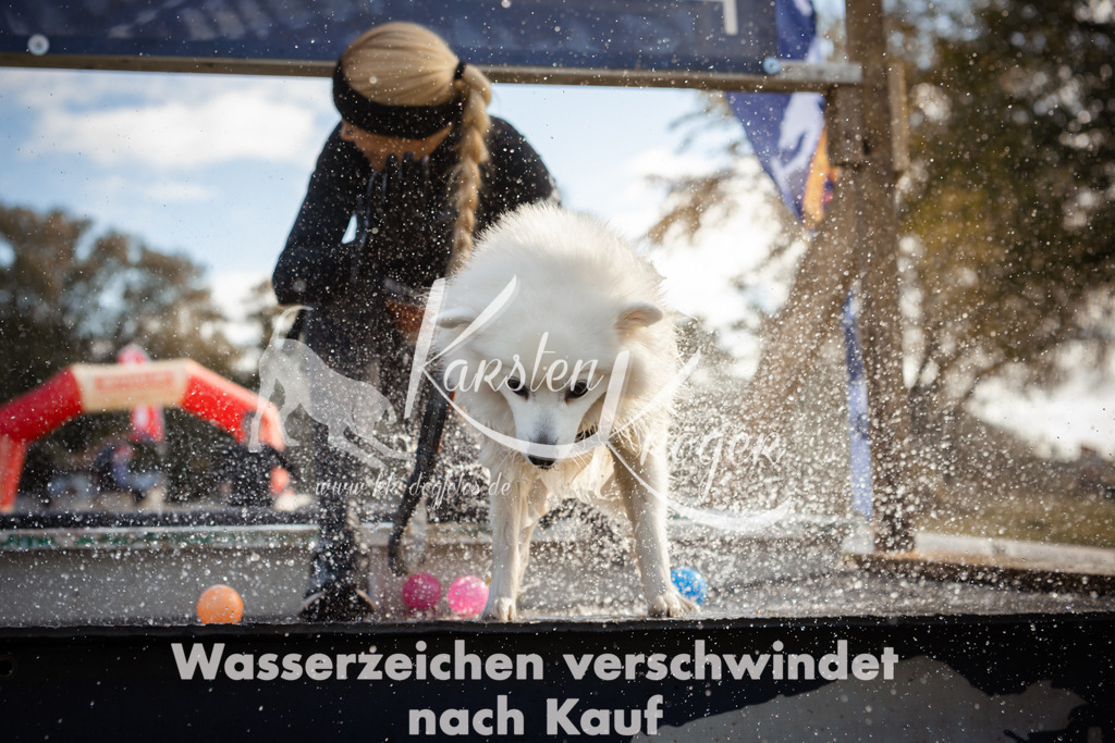 1303_ZZ98870-2 | kk-dogfotos