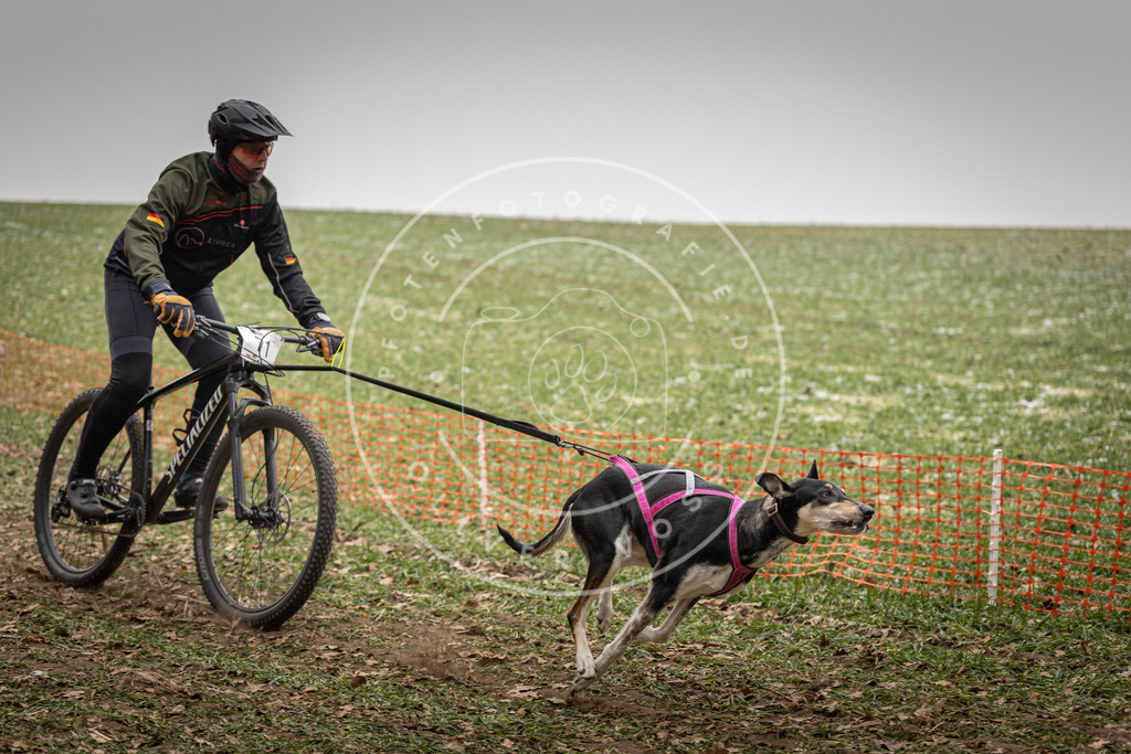 Pfotenfotografie_DV3A3190 | Hundefotografie, Tierfotograf, Pfotenfotografie, Fotoshooting Hund, Hunde Portrait, Hundesport, Hundeportraits, Heideshooting, Hunde, Sportfotograf, Hundefotograf, Turnierhundsport, THS,  - Realisiert mit Pictrs.com