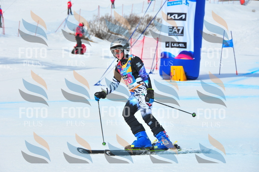 DSC_7130 | holidayphoto