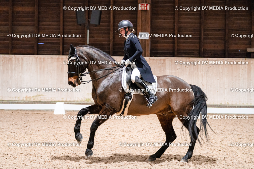 Dressur Tag 2-655 | dv-media-shop - Realisiert mit Pictrs.com