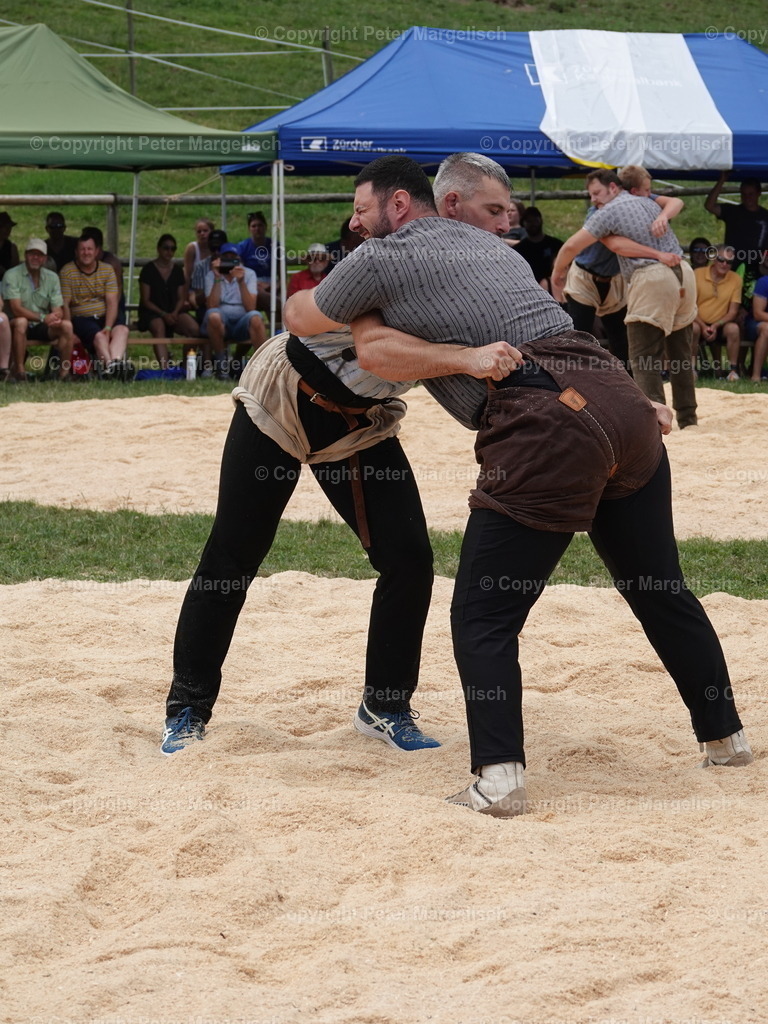 DSC05126 | Schwingen - Realisiert mit Pictrs.com