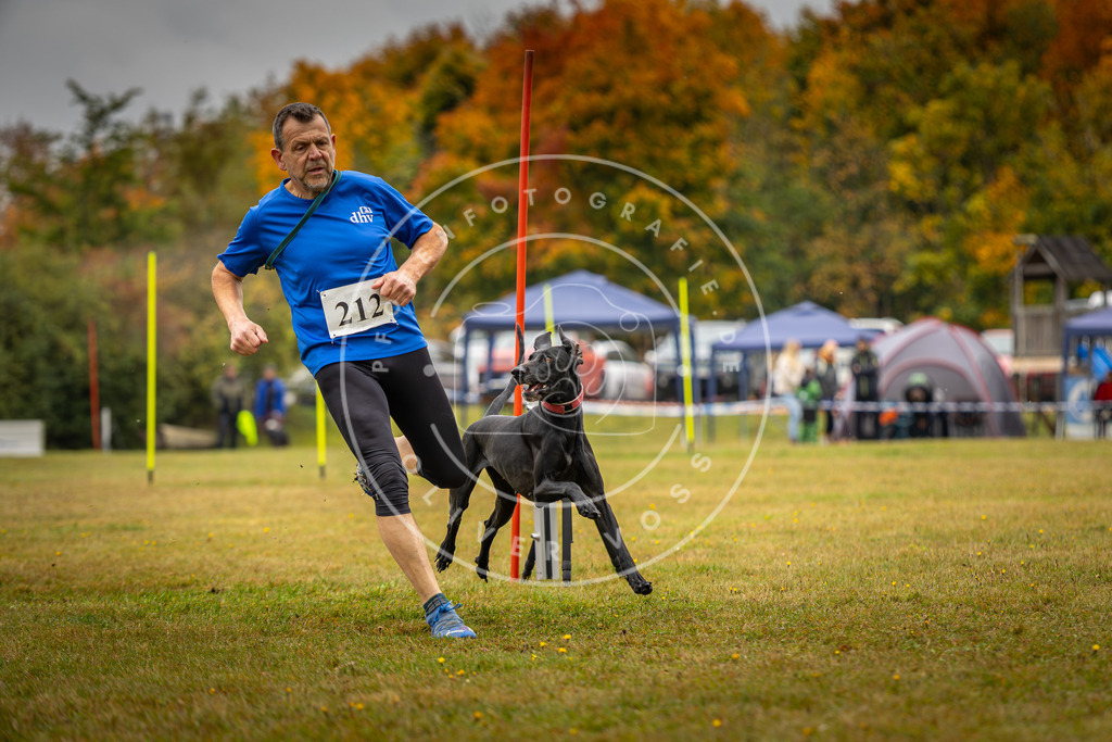 Pfotenfotografie_DV3A2438 | Hundefotografie, Tierfotograf, Pfotenfotografie, Fotoshooting Hund, Hunde Portrait, Hundesport, Hundeportraits, Heideshooting, Hunde, Sportfotograf, Hundefotograf, Turnierhundsport, THS,  - Realisiert mit Pictrs.com