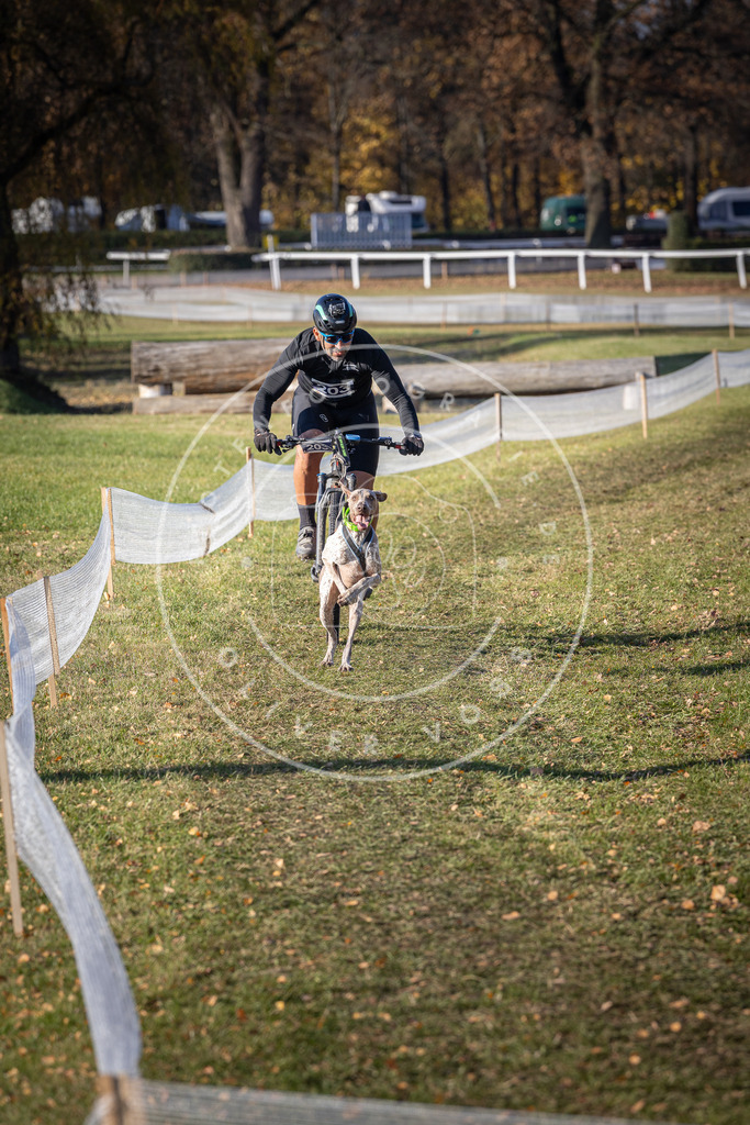 CaniXpix_DV3A2836 | Hundefotografie, Tierfotograf, Pfotenfotografie, Fotoshooting Hund, Hunde Portrait, Hundesport, Hundeportraits, Heideshooting, Hunde, Sportfotograf, Hundefotograf, Turnierhundsport, THS,  - Realisiert mit Pictrs.com