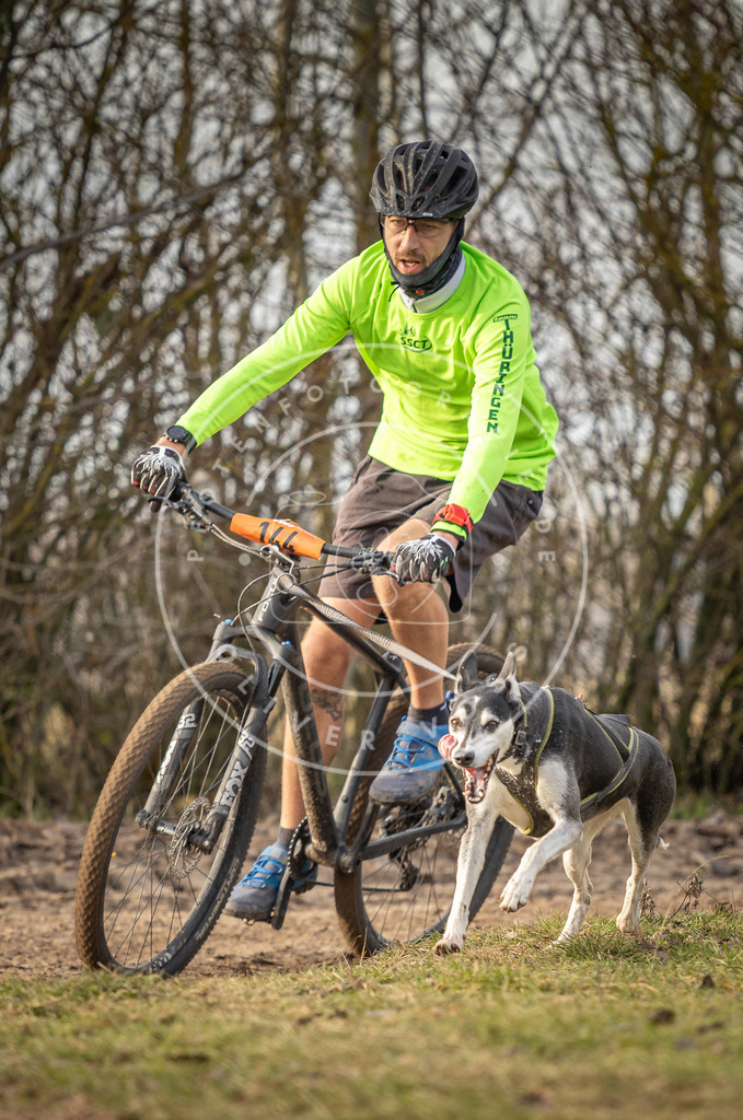 Pfotenfotografie_DV3A8402 | Hundefotografie, Tierfotograf, Pfotenfotografie, Fotoshooting Hund, Hunde Portrait, Hundesport, Hundeportraits, Heideshooting, Hunde, Sportfotograf, Hundefotograf, Turnierhundsport, THS,  - Realisiert mit Pictrs.com