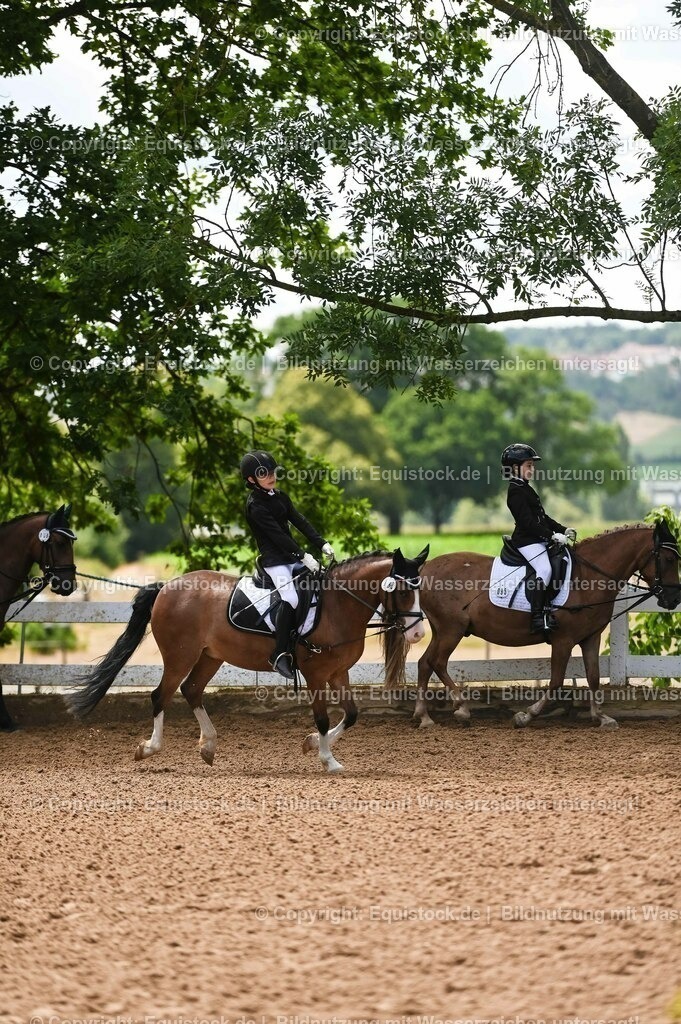 20230716_10-3_Reiter-WB Schritt - Trab - Galopp_0150 | equistock