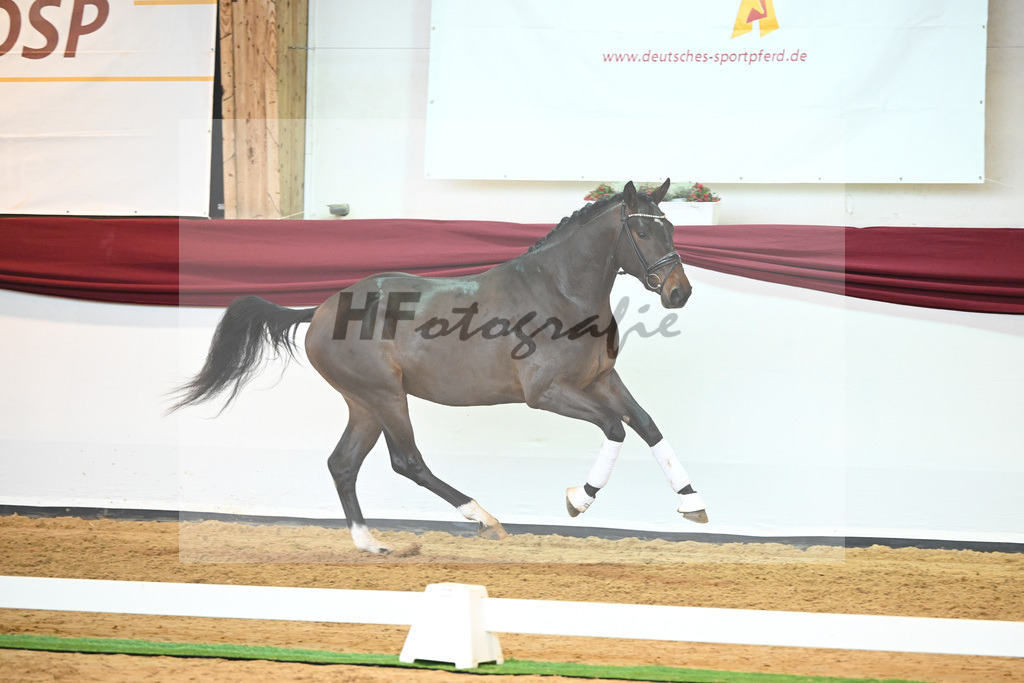 Kat-Nr. 43 v. Mykonos_Sommer_66220976 | hf-fotografie - Realisiert mit Pictrs.com