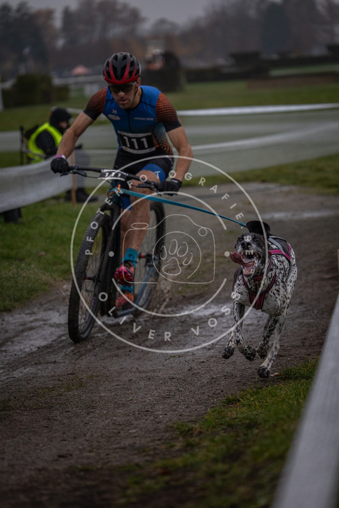 CaniXpix_0L8A0311 | Hundefotografie, Tierfotograf, Pfotenfotografie, Fotoshooting Hund, Hunde Portrait, Hundesport, Hundeportraits, Heideshooting, Hunde, Sportfotograf, Hundefotograf, Turnierhundsport, THS,  - Realisiert mit Pictrs.com
