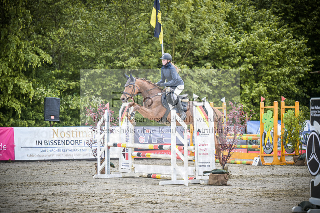 DOS_7591 | Entdecke hochwertige Reitturnierfotos von Foto Oger. Professionell, emotional und authentisch – jetzt Lieblingsmomente im Shop bestellen.Deutschlandweite Turnierfotografie. - Realisiert mit Pictrs.com