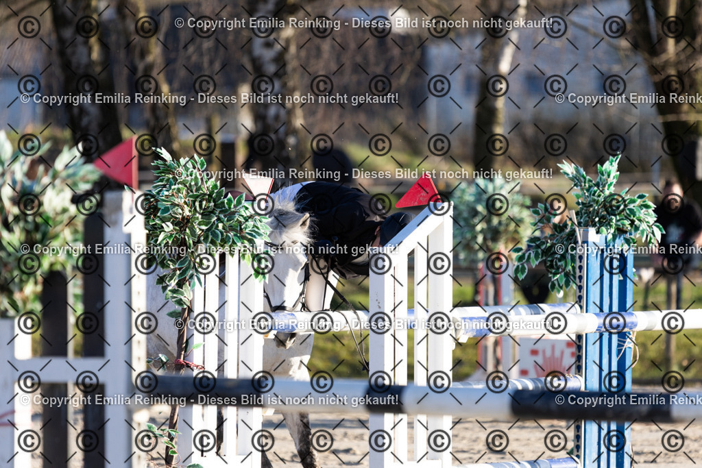 CL5A3535 | Emilia Reinking Fotografie - Realisiert mit Pictrs.com