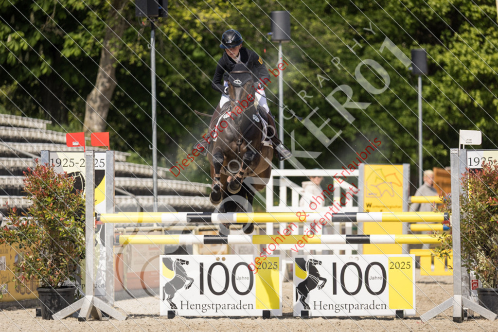 IMG_4301 | Sport-, Event- und Tierfotos in Profiqualität. Einfach auswählen, bestellen und herunterladen. Dein Moment – perfekt festgehalten.