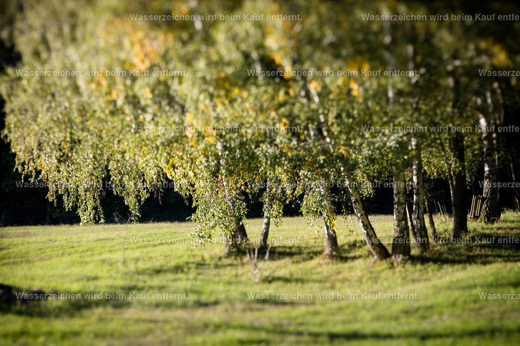 Du stehst am Anfang. | Die Botschaft zum Bild lautet: Du bist der Anfang und das Ende. Du bist das Ende deiner Ahnenreihe. Doch bei dir beginnt es auch wieder, weiterzugehen. Gehe dein Leben jetzt frei von den Ketten, die du dir auferlegt hast, die dir auferlegt wurden und die nicht mehr zu dir gehören. Spüre die unendliche Liebe deiner Ahnen aufsteigen in deiner DNA. Du bist der Anfang, du bist das Ende. Also lebe dein Leben jetzt voller Freude, frei.