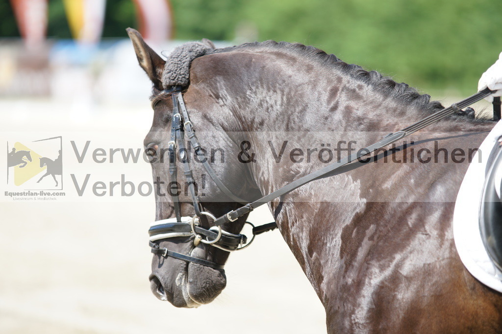DSC01664 | equestrian-live-com