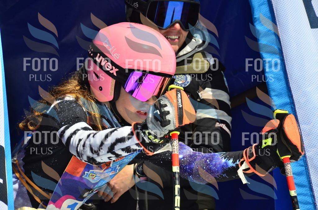 _ELE0898 | holidayphoto