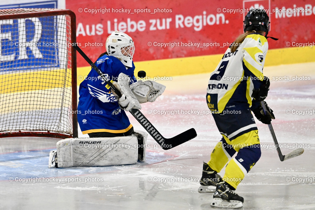 LADY HAWKS vs. WILDCATS PATERNION | #32 Prasser Hannah Sophie LADY HAWKS, #9 Neumann Magdalena WILDCATS PATERNION, LADY HAWKS vs. WILDCATS PATERNION, LADY HAWKS vs. WILDCATS PATERNION am 12.03.2025 in Steindorf (Ossiachersee Halle), Austria, (Photo by Bernd Stefan)