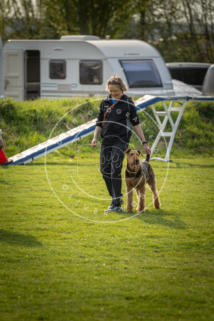 Pfotenfotografie_DV3A4829 | Hundefotografie, Tierfotograf, Pfotenfotografie, Fotoshooting Hund, Hunde Portrait, Hundesport, Hundeportraits, Heideshooting, Hunde, Sportfotograf, Hundefotograf, Turnierhundsport, THS,  - Realisiert mit Pictrs.com