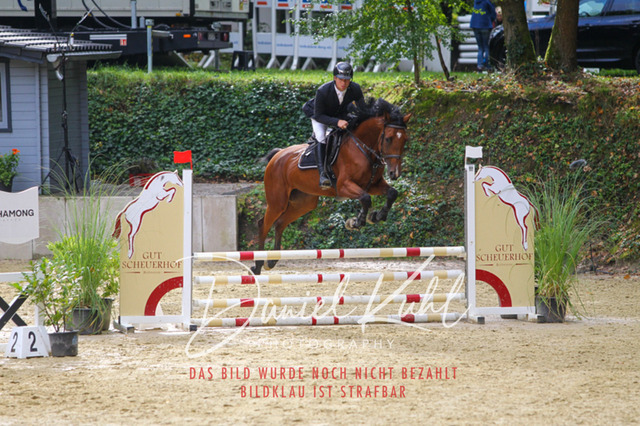 DKP40282 | Turniersportfotografie; Pferdefotografie; Dressurfotografie