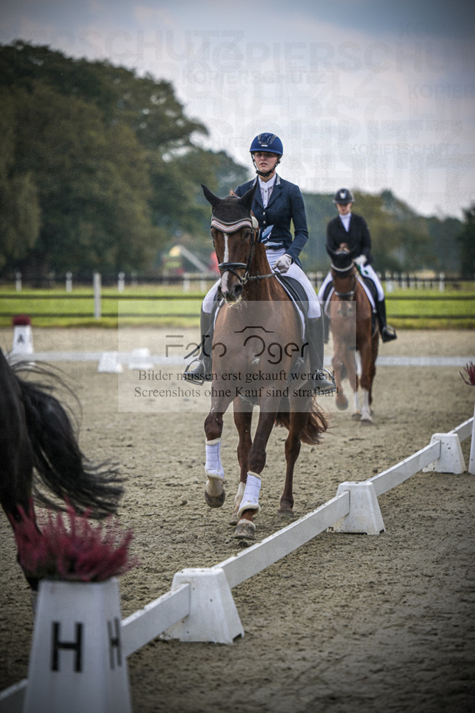 DOS_B787 | Entdecke hochwertige Reitturnierfotos von Foto Oger. Professionell, emotional und authentisch – jetzt Lieblingsmomente im Shop bestellen.Deutschlandweite Turnierfotografie. - Realisiert mit Pictrs.com