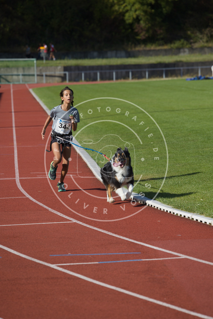 0L8A9084 | Hundefotografie, Tierfotograf, Pfotenfotografie, Fotoshooting Hund, Hunde Portrait, Hundesport, Hundeportraits, Heideshooting, Hunde, Sportfotograf, Hundefotograf, Turnierhundsport, THS,  - Realisiert mit Pictrs.com