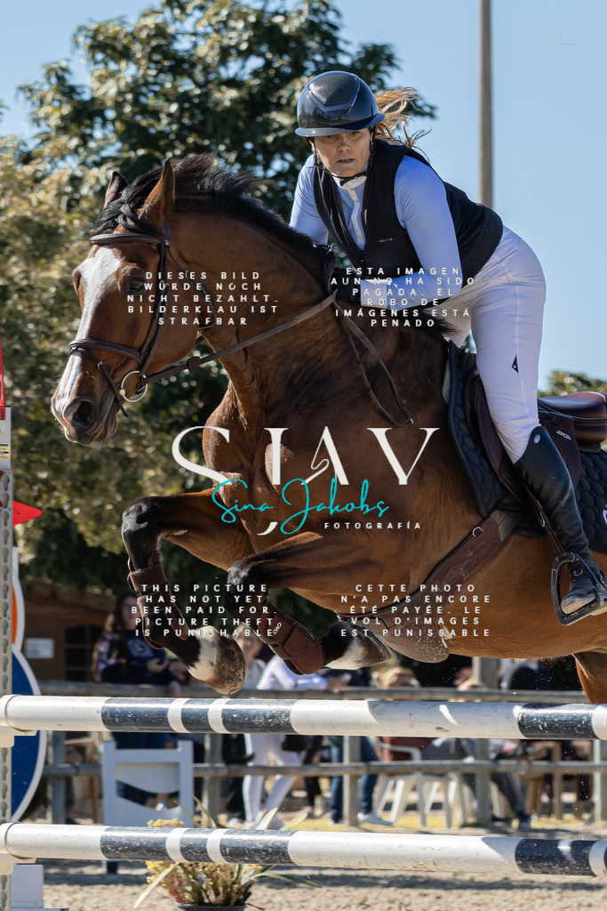 IMG_0554 | s-jay-photography - Realisiert mit Pictrs.com